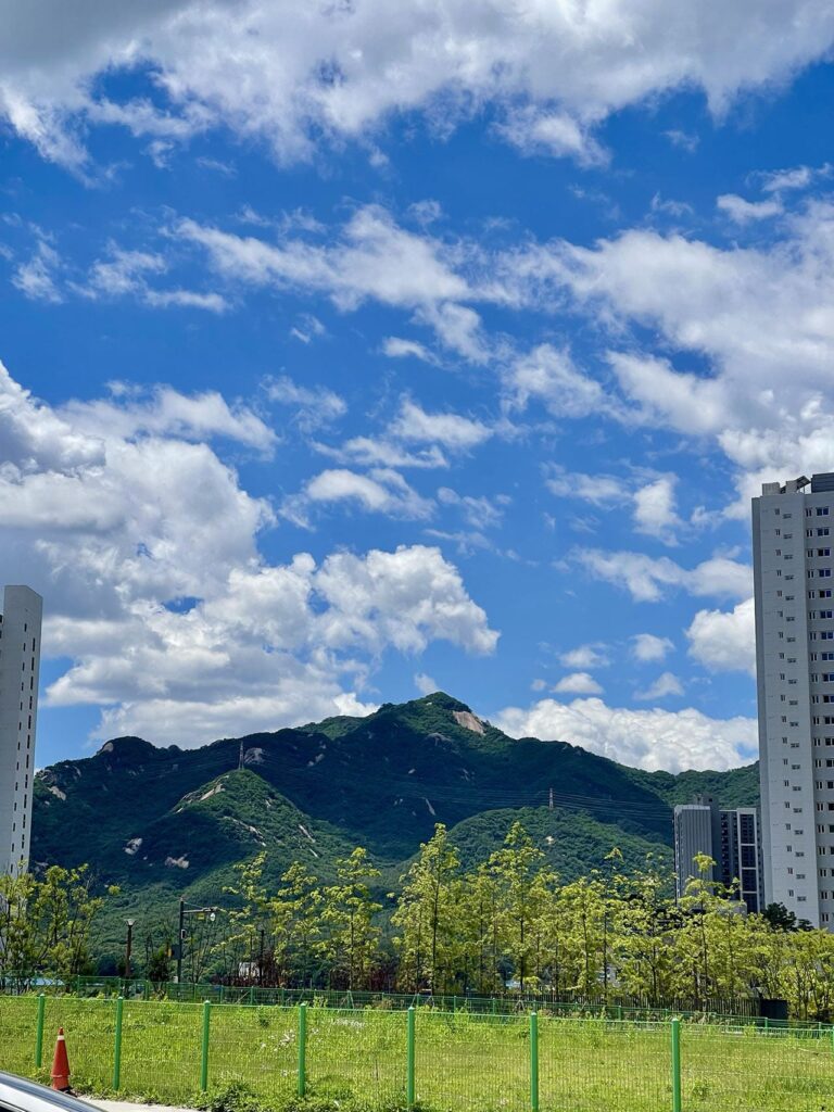 남향의 장단점 - 마운틴 뷰
