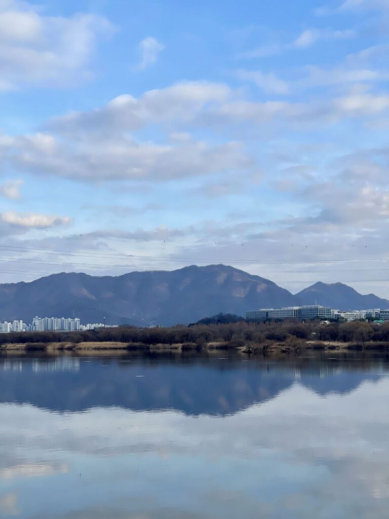 부동산의 종류 - 산과 건물